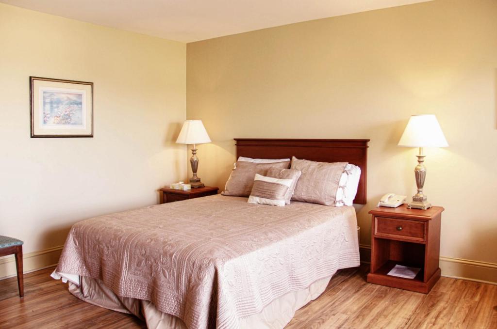 Silverwood Motel - Queen Studio
