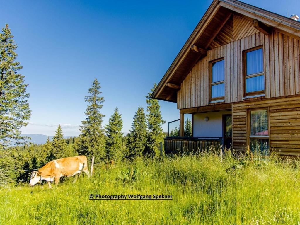 Zvieratá v dovolenkovom dome alebo blízkom okolí