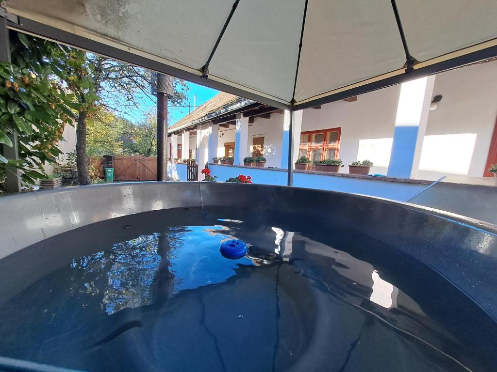 a pool of water with a blue ball in it at Padláskincsek Muskátlis Vendégház in Nagybörzsöny