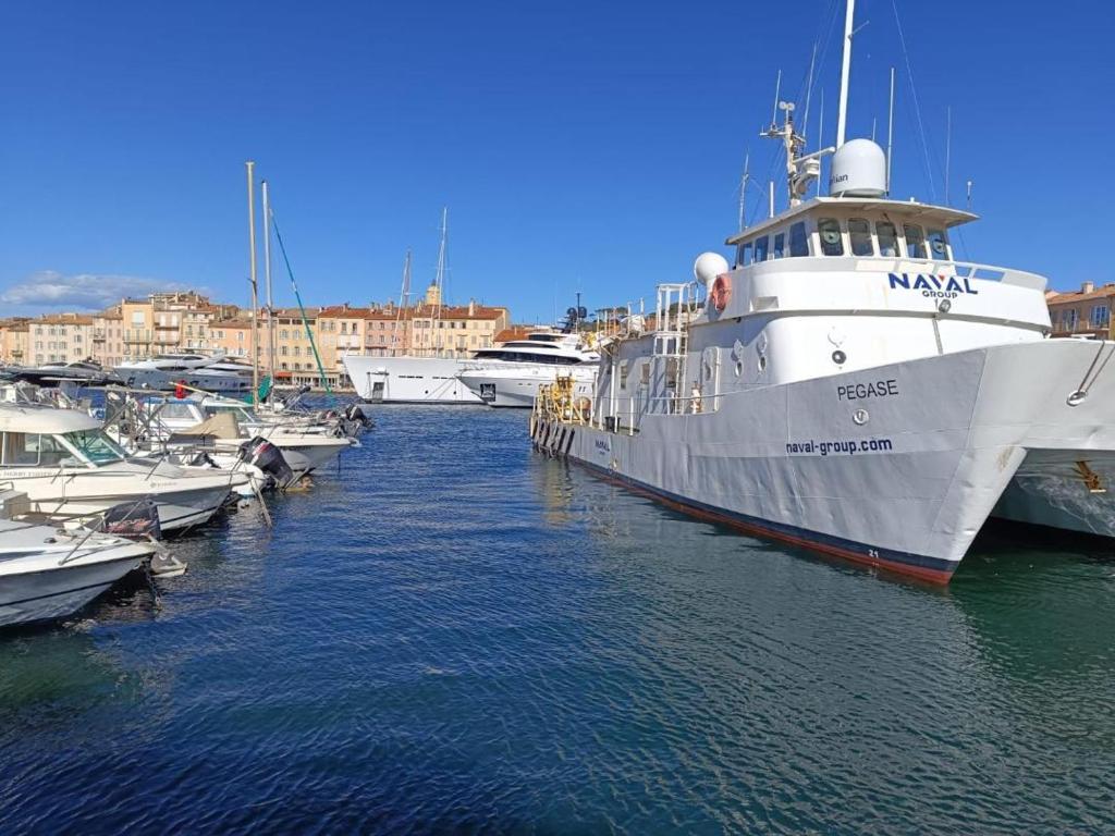 Príroda v okolí kempingu