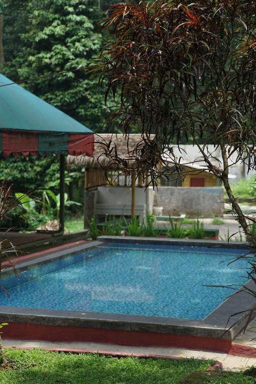 basen w ogrodzie z drzewem w obiekcie Bamboo Sanctuary Pancawati w mieście Ciherangsating