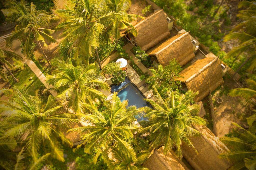 an overhead view of palm trees and a pool at Selvática in Gili Islands