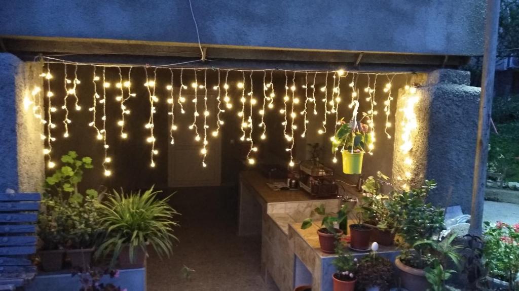 a patio with lights and potted plants at LeoSani in Lagodekhi