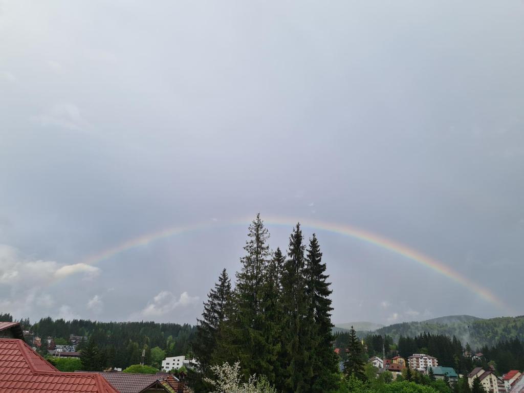 Příroda nedaleko hotelu