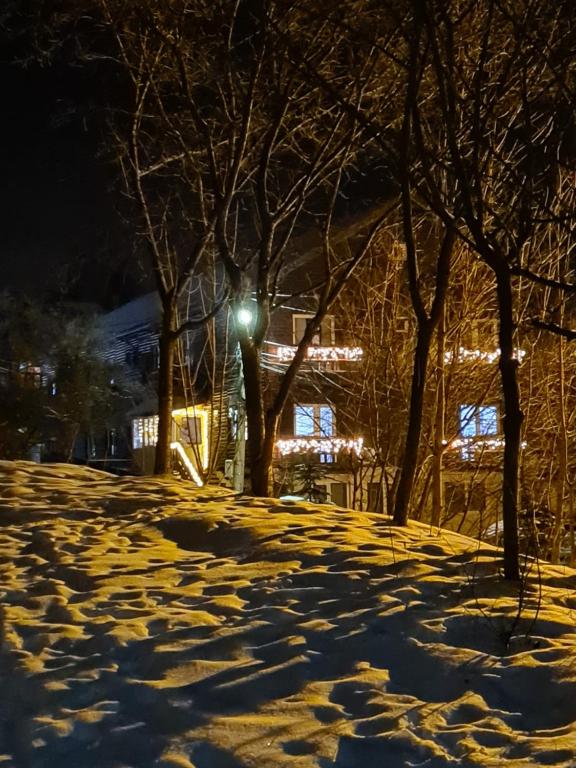 Vila Șoimul Predeal v zimě