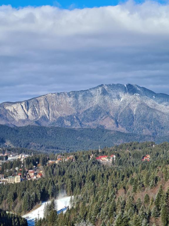 Příroda nedaleko hotelu
