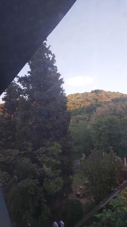 Příroda nedaleko penzionu