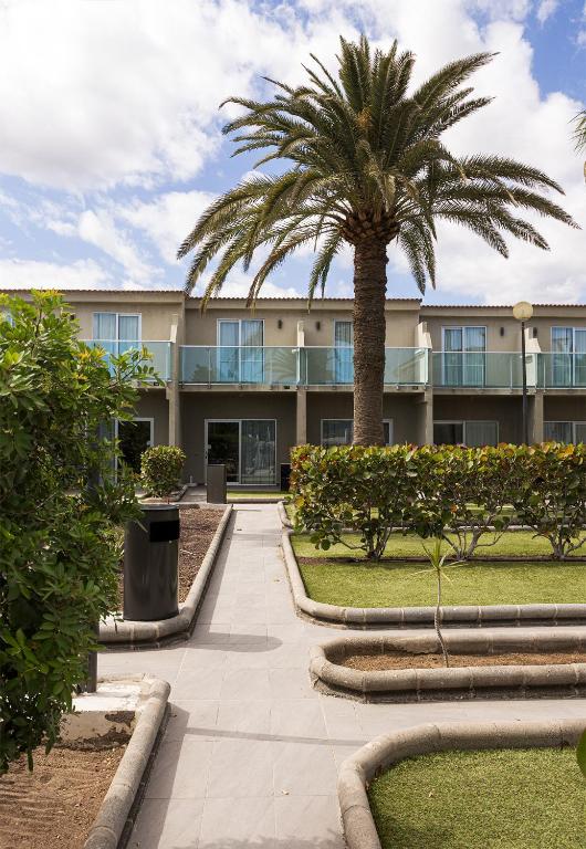 a palm tree in front of a building at Smartr Maspalomas Corinto in Playa del Ingles