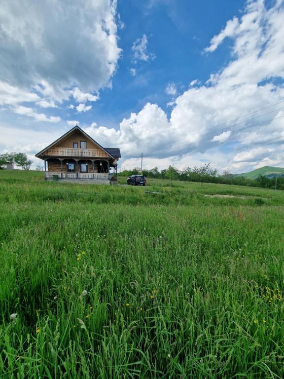 una casa en medio de un campo de hierba en Casa bunicilor din Oncești en Onceşti