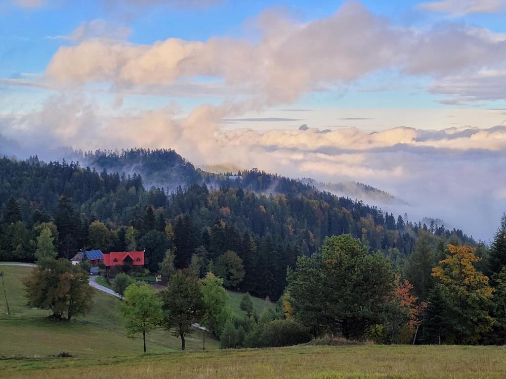 une maison au milieu d'un champ planté d'arbres et de nuages dans l'établissement Domek na Obidzy, à Piwniczna-Zdrój