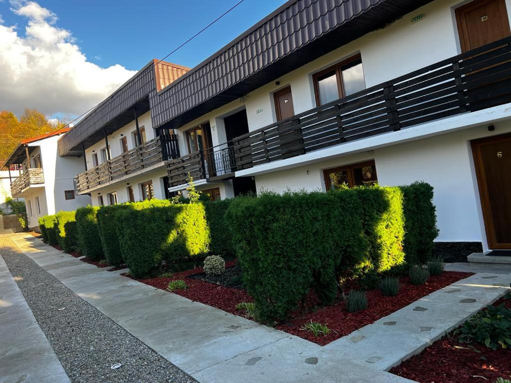 un edificio blanco con arbustos delante de él en Pensiunea Bavaria Campina, en Campina