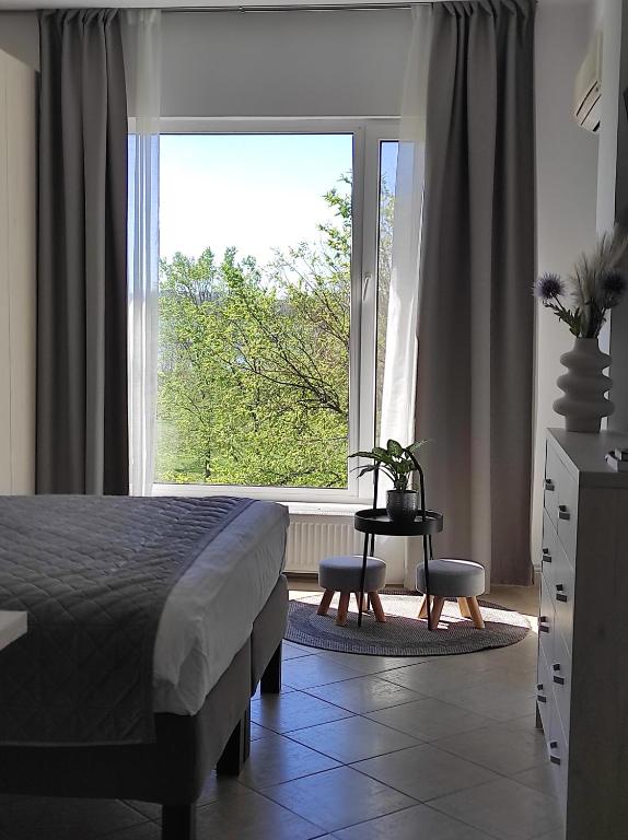 een slaapkamer met een bed en een groot raam bij Studio Tabacariei in Constanţa