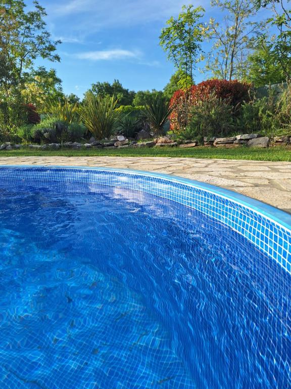 a swimming pool with blue water in a yard at Villa Malini in Grožnjan