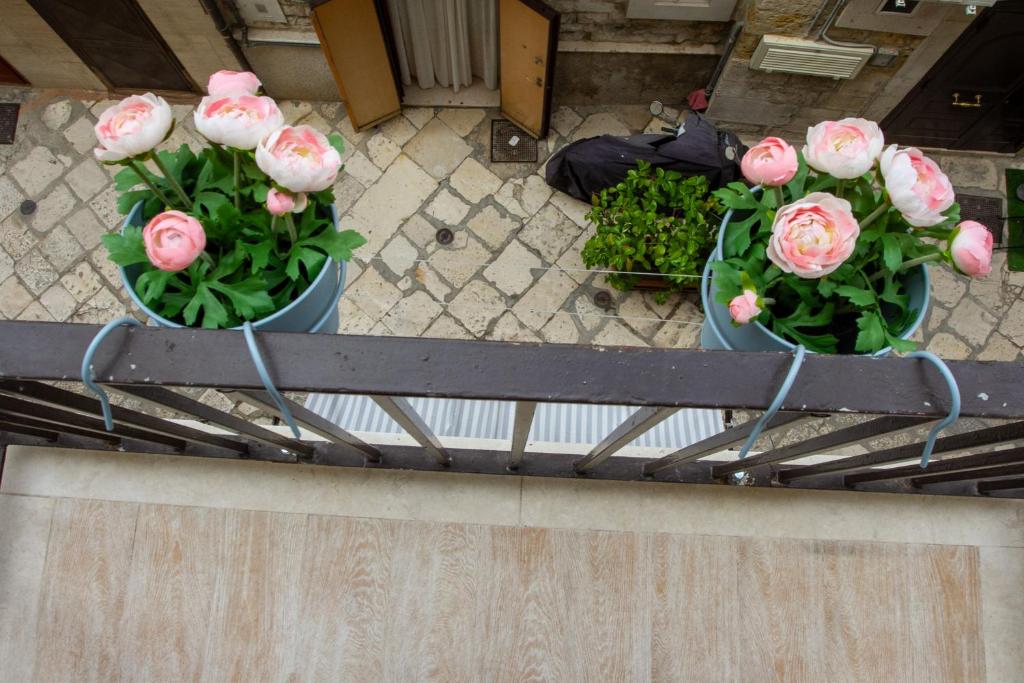 Foto dalla galleria di Bari in un click a Bari