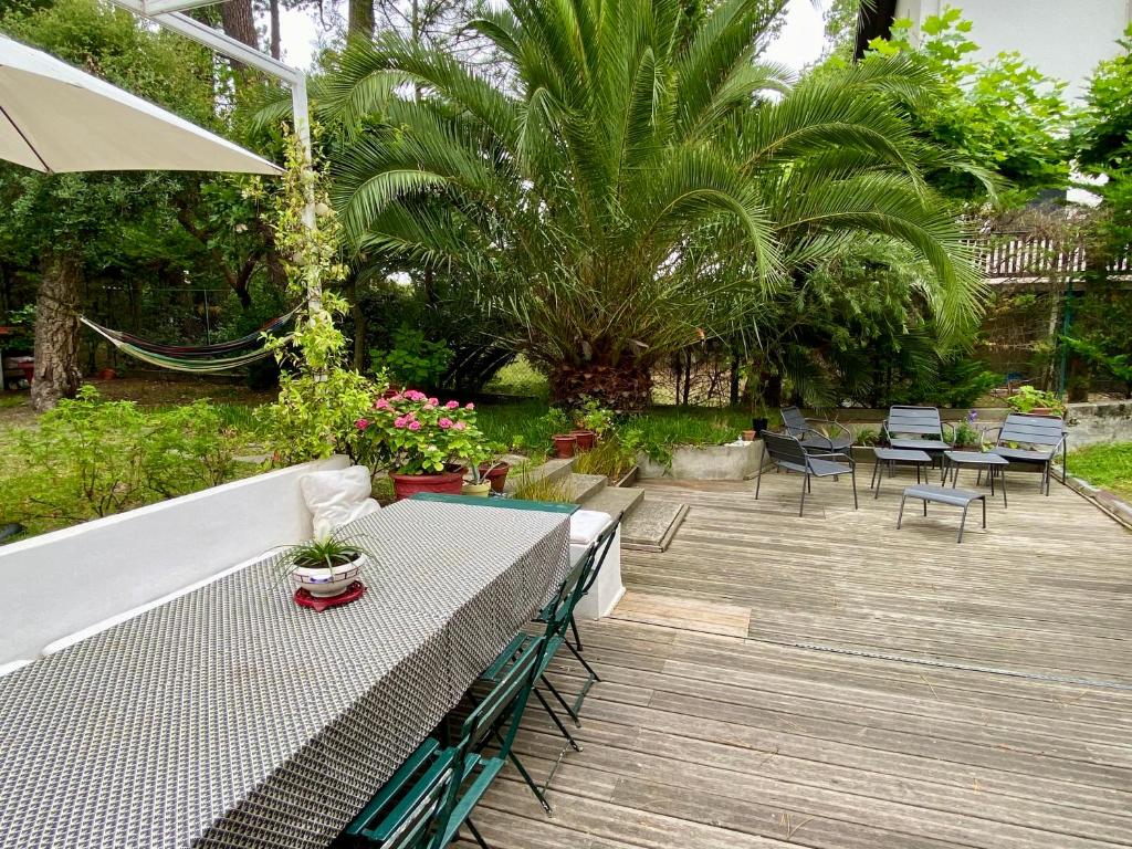 d'une terrasse avec une table, des chaises et des palmiers. dans l'établissement Maison de charme vue sur port, à Capbreton