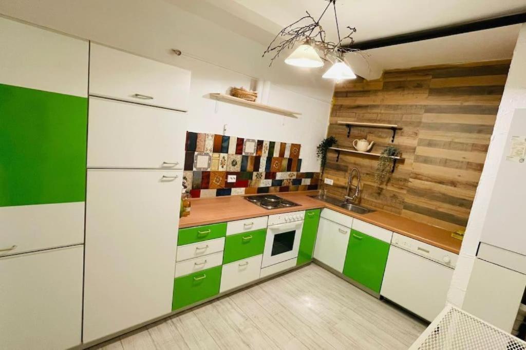 una cocina con armarios verdes y blancos y fregadero en Wohnung Zentrum Albstadt, en Albstadt