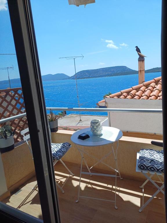 Príroda v okolí apartmánu