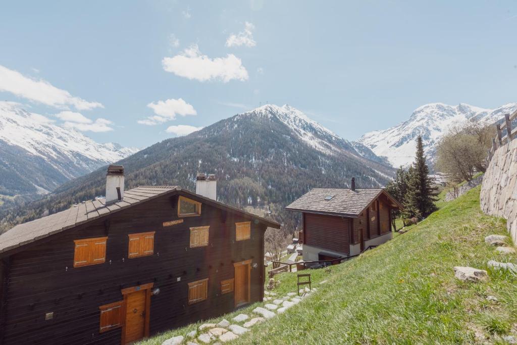 Příroda nedaleko apartmánu