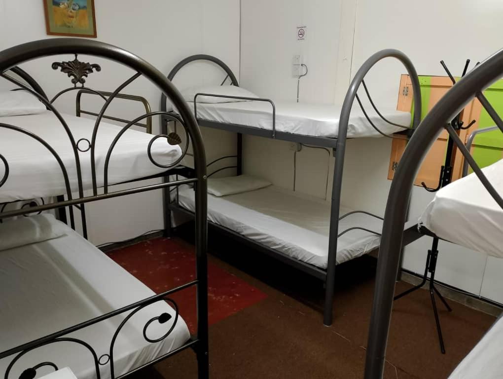 Katil dua tingkat atau katil-katil dua tingkat dalam bilik di Seaview Hostel