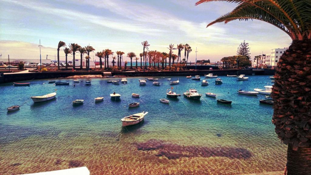a group of boats in a harbor with palm trees at Apartamento Vista Mar Arrecife in Arrecife