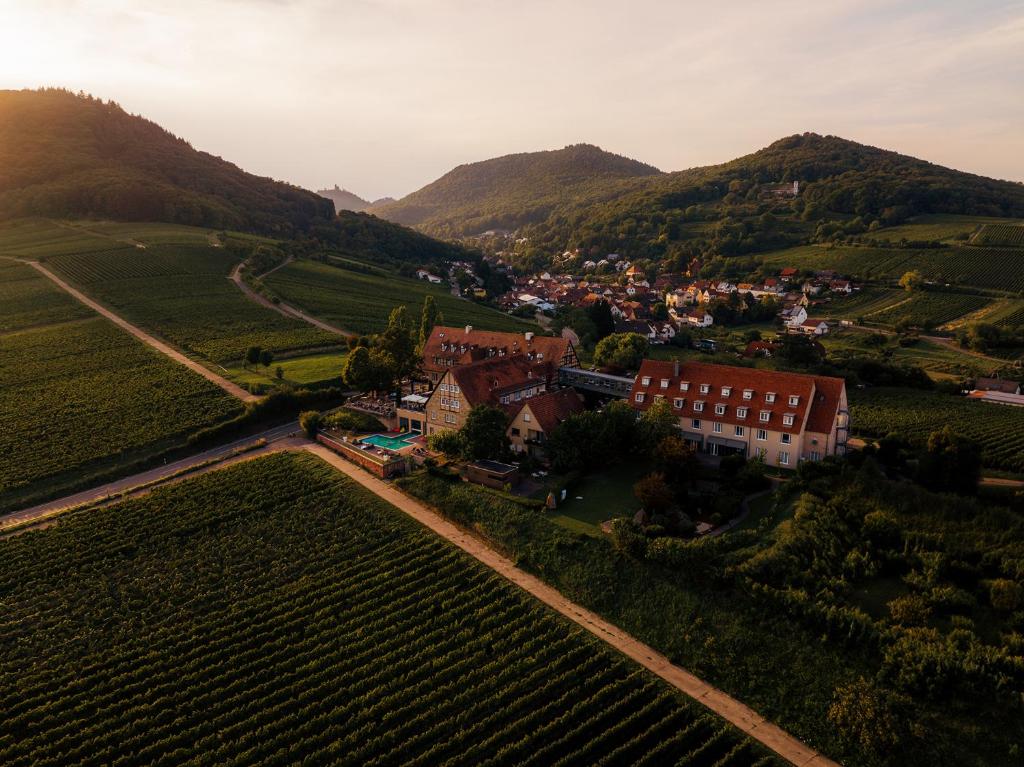 uma vista aérea de uma pequena aldeia nas montanhas em Hotel Leinsweiler Hof em Leinsweiler