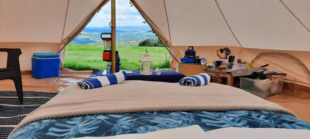 een bed in een tent met uitzicht op een veld bij Summit Camping Kit Hill Cornwall Stunning Views Pitch Up or book Bella the Bell Tent in Callington