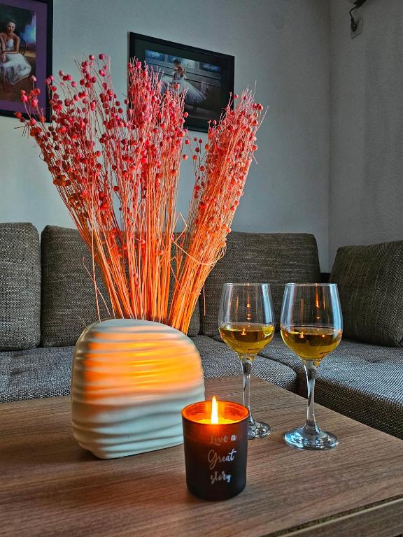 zwei Gläser Wein und eine Kerze auf dem Tisch in der Unterkunft Apartman Jovanovic in Vrnjačka Banja