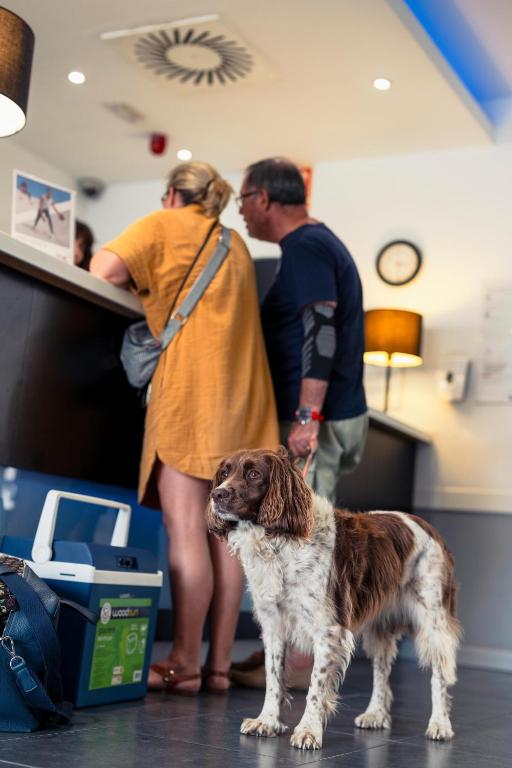 Ibis Budget Málaga Centro - Resim 38