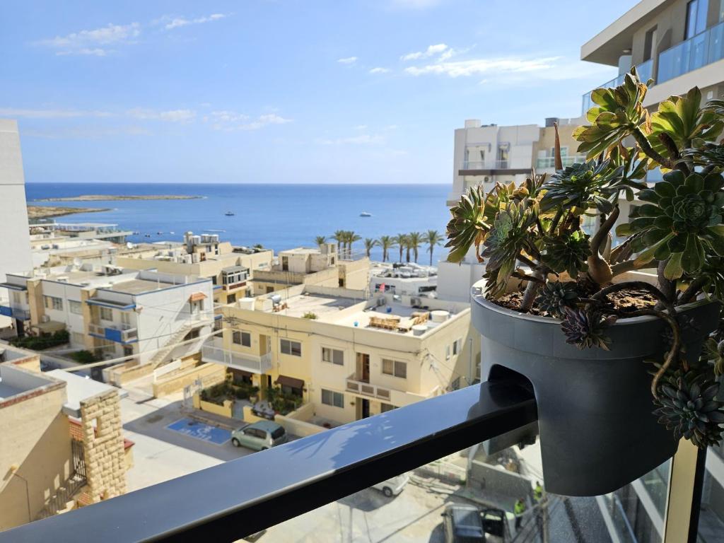 Una maceta con plantas en un balcón con vista al mar. en Family holidays, en St Paul's Bay