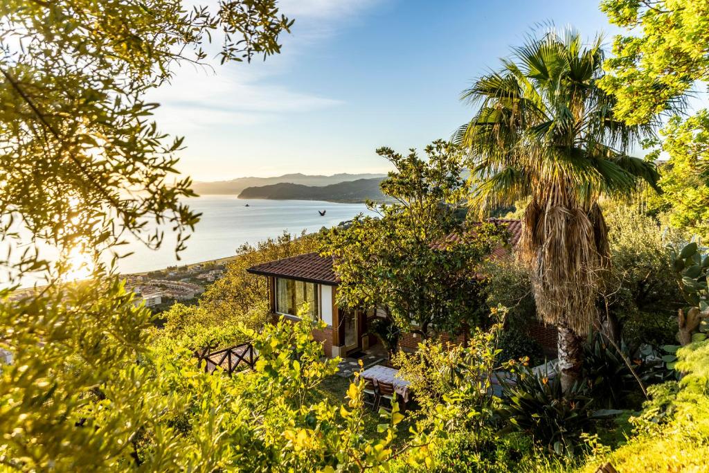 una casa con una palma e una vista sull'oceano di Casuzza Duci duci a Gioiosa Marea