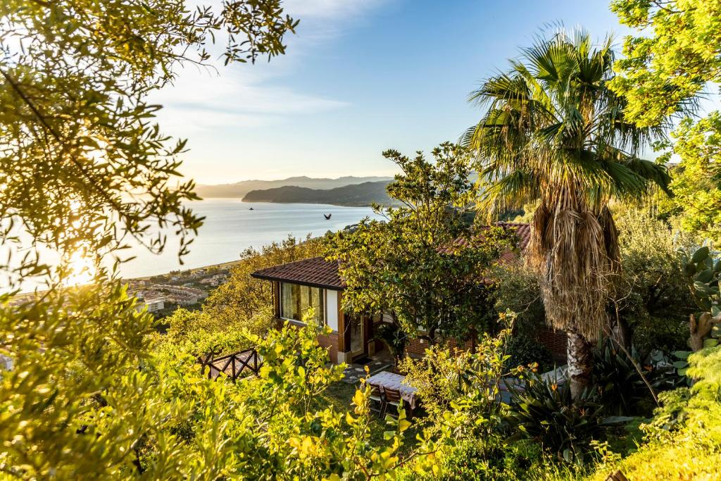 una casa con una palmera y vistas al océano en Casuzza Duci duci, en Gioiosa Marea