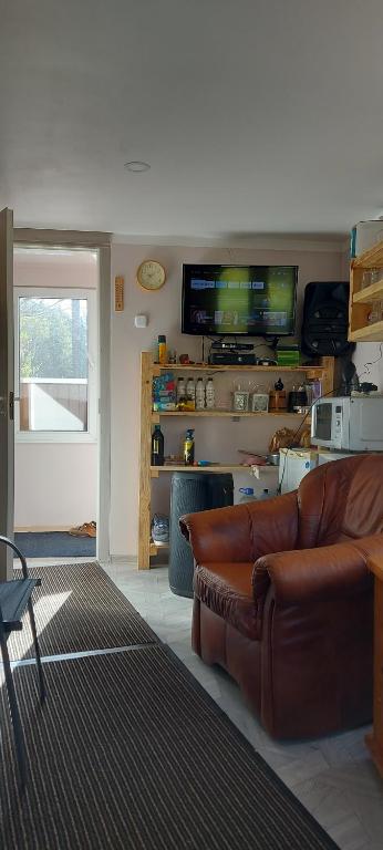 Pirts,kubls,,Saknēs,, في تالسي: غرفة معيشة مع أريكة وتلفزيون بشاشة مسطحة