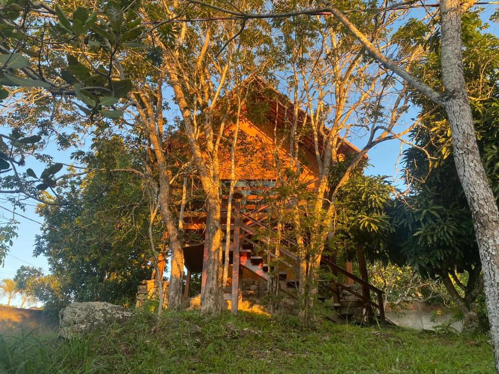 Ein Garten an der Unterkunft Chalé Por do Sol