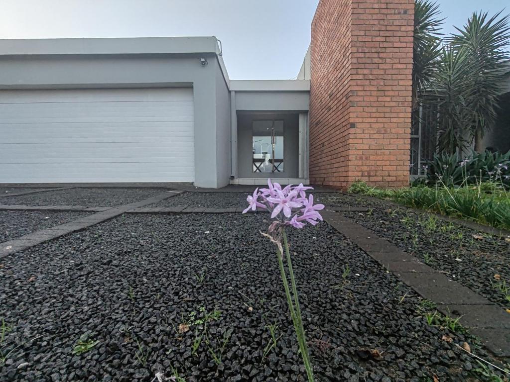 una flor púrpura delante de un garaje en 2 Bedroom Private Retreat, en Bloemfontein
