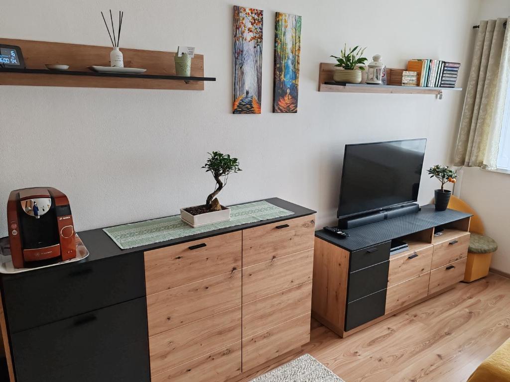 Kuchyň nebo kuchyňský kout v ubytování Apartmán Sedmička Horec