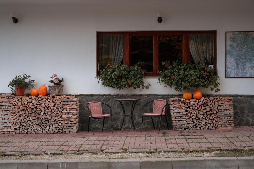 Fotografie z fotogalerie ubytování Pensiunea Anotimpuri v destinaci Predeal