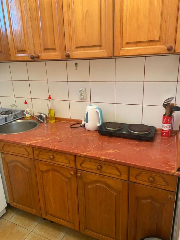Kuchyň nebo kuchyňský kout v ubytování Lovely bright Apartment with Backyard-renovated!