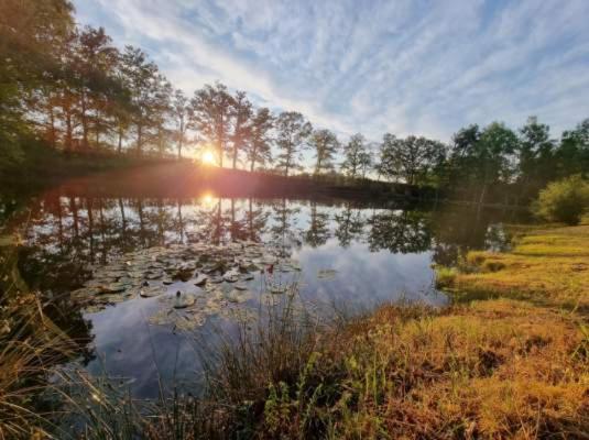 un lac au soleil couchant en arrière-plan dans l'établissement Domaine du grand roc-Gîte 2- Le Roitelet, à Saint-Saud-Lacoussière