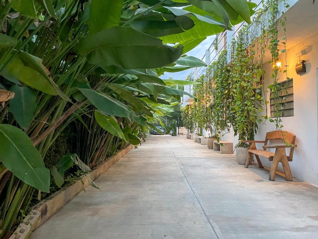 a hallway with a row of plants and benches at Casa Sacek in Valladolid