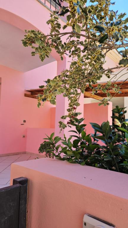 Κήπος έξω από το Villa COMPLETA x 9 PS