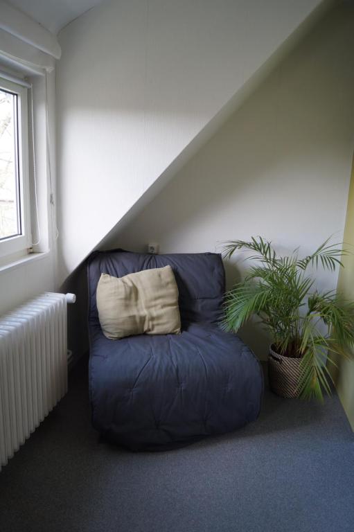 Hotel Pension De Gasterei - 16