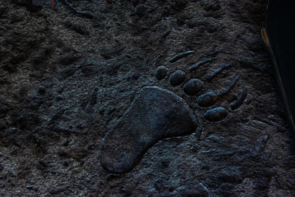 Fotografie z fotogalerie ubytování Pendleton Pointe v destinaci Island Park