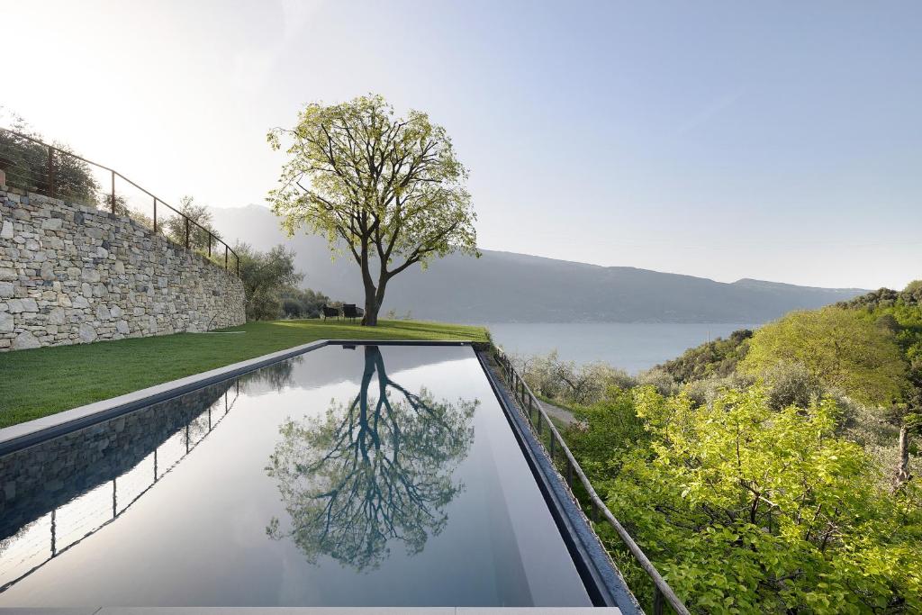 een weerspiegeling van een boom op het dak van een huis bij Ca’ Scaì Agrifugium Elià in Tignale