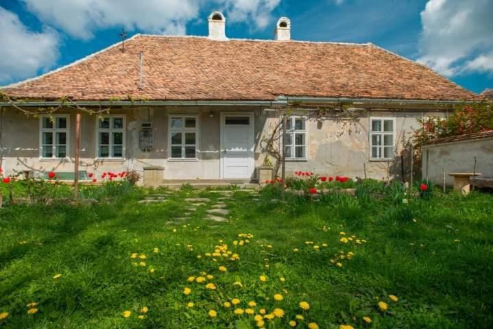 a house with a yard with flowers in front of it at Gästehaus Fogarasch in Făgăraş