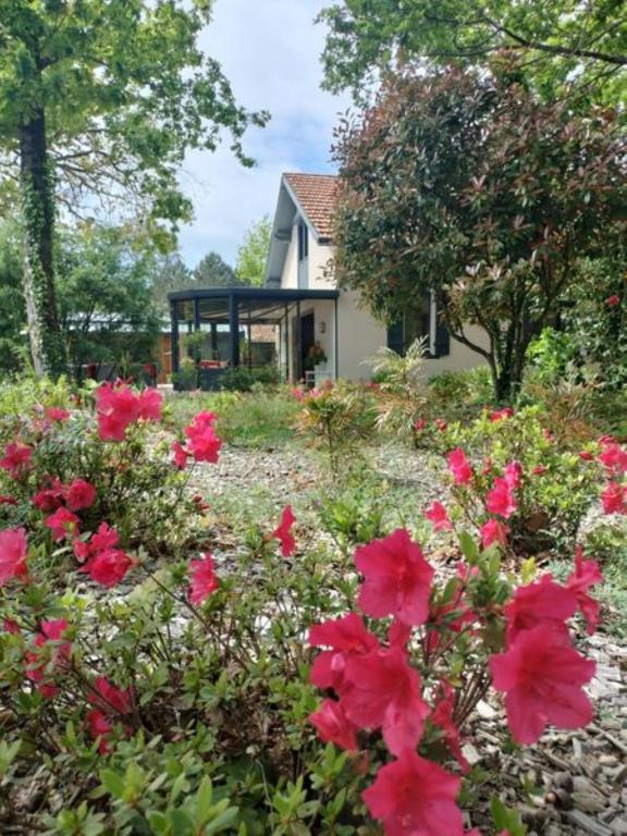 un jardin avec des fleurs roses en face d'une maison dans l'établissement Maison Bel Air, à Moliets-et-Maa
