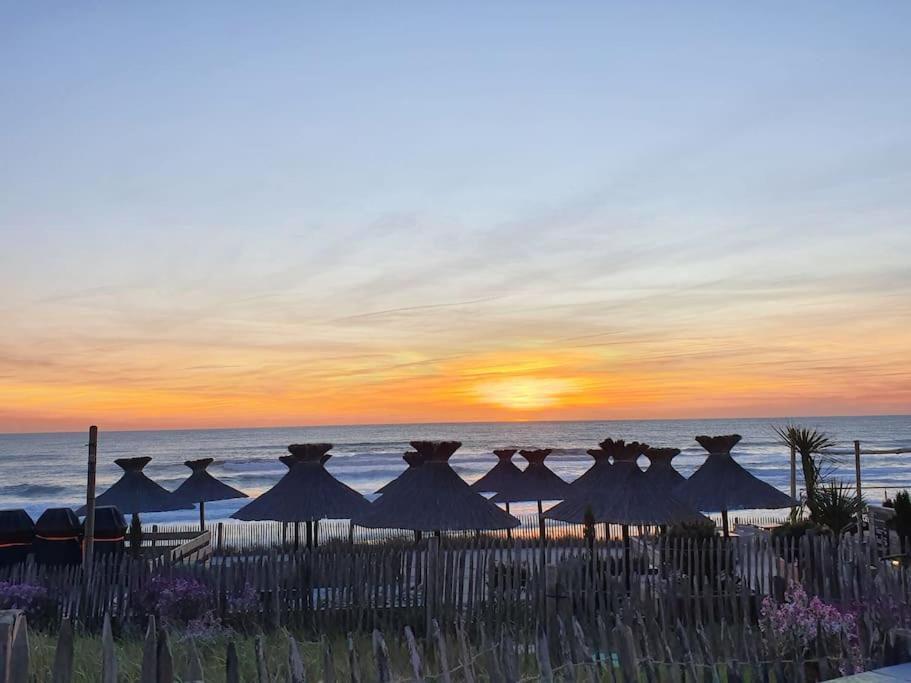 - un groupe de parasols sur la plage au coucher du soleil dans l'établissement Lacanau Océan, grand confort à 50m de la plage !, à Lacanau-Océan