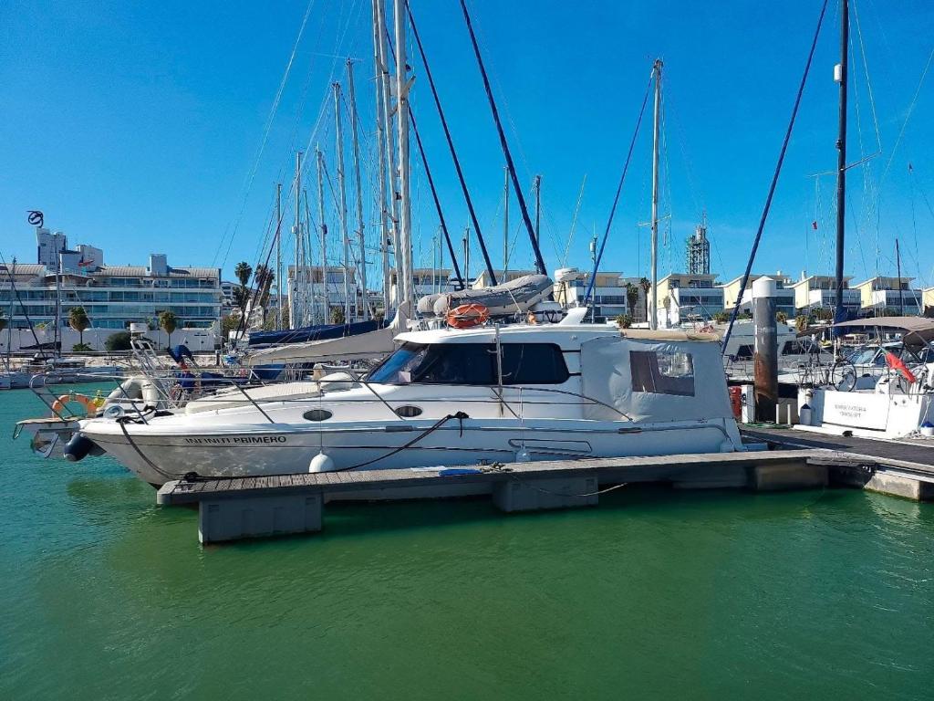 里斯本的住宿－Private yacht, we love our guests，船停靠在水面上的码头