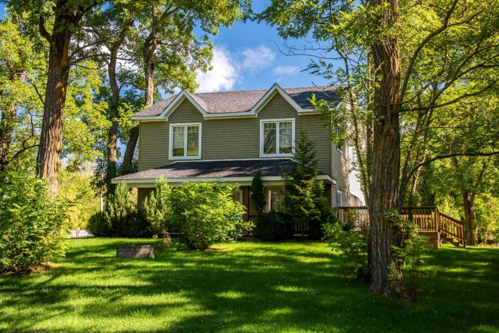 a green house with trees in the yard at Very Private Cottage, Outdoor Hot Tub, BBQ, Petfriendly, 10 acres of Privacy! in Collingwood