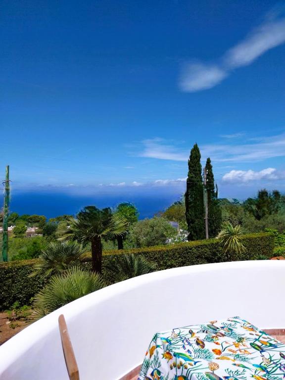 Villa Donna Carolina Capri - 8