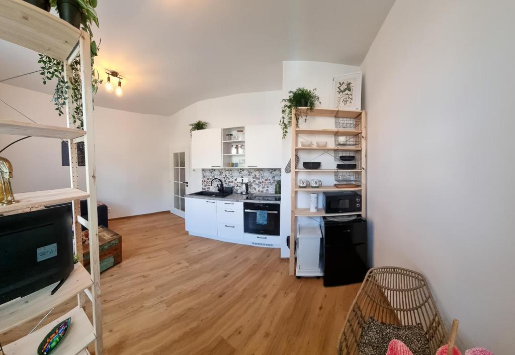 Kuchyň nebo kuchyňský kout v ubytování Apartmány MIS